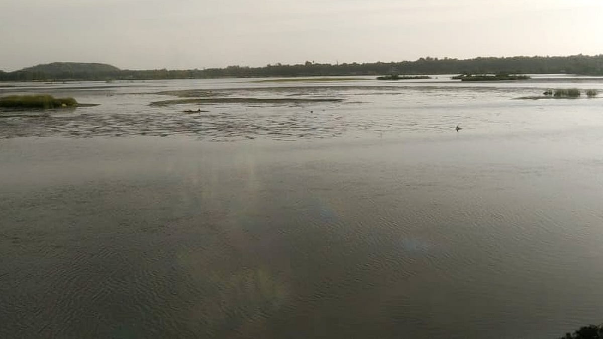 ಕುಮಟಾ | ನೆರೆ, ಉಪ್ಪು ನೀರಿನಿಂದ ‘ಕಗ್ಗ‘ ಭತ್ತಕ್ಕೆ ಹಾನಿ