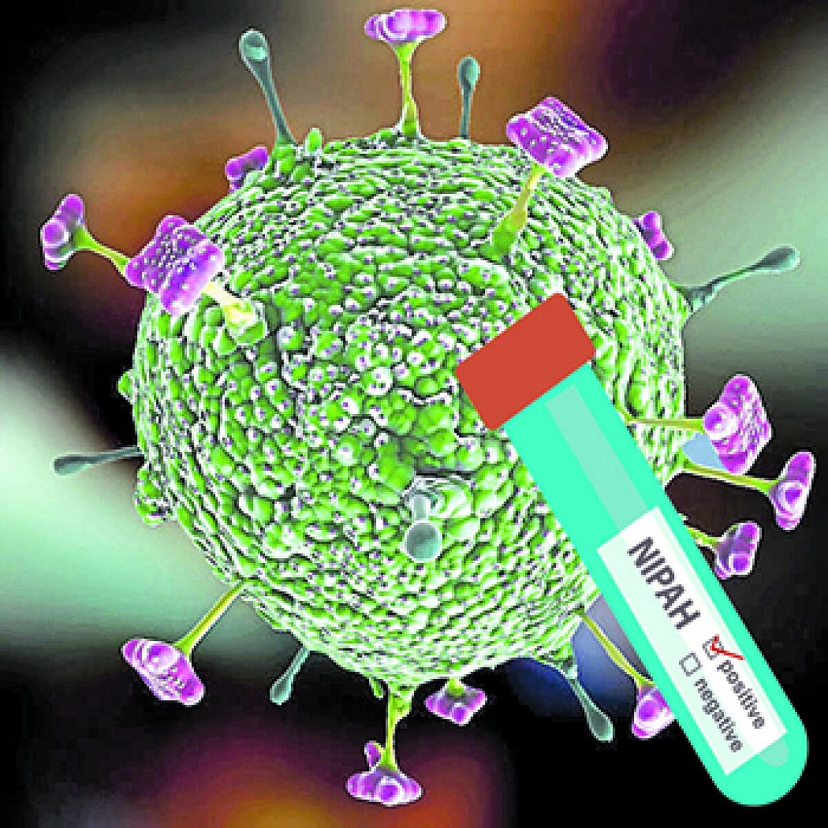 ಸಂಪಾದಕೀಯ: ಕೇರಳದಲ್ಲಿ ನಿಪಾ ಸೋಂಕು, ಆಸುಪಾಸಿನ ರಾಜ್ಯಗಳಲ್ಲಿ ಕಟ್ಟೆಚ್ಚರ ಅಗತ್ಯ