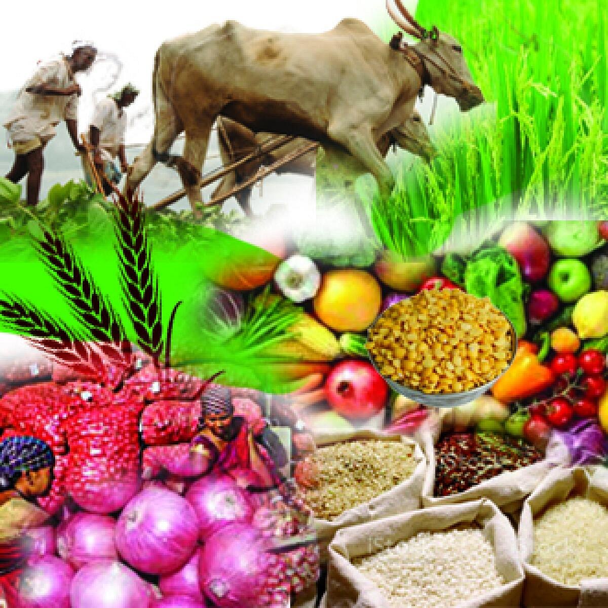 ಸಂಪಾದಕೀಯ | ಅಗತ್ಯ ವಸ್ತುಗಳ ಬೆಲೆ ನಿಯಂತ್ರಣ ರೈತರ ಹಿತರಕ್ಷಣೆಗೂ ಇರಲಿ ಆದ್ಯತೆ