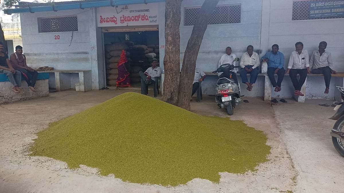 ಬೀದರ್‌: 30 ಹೆಸರು ಕಾಳು ಖರೀದಿ ಕೇಂದ್ರ ಆರಂಭ