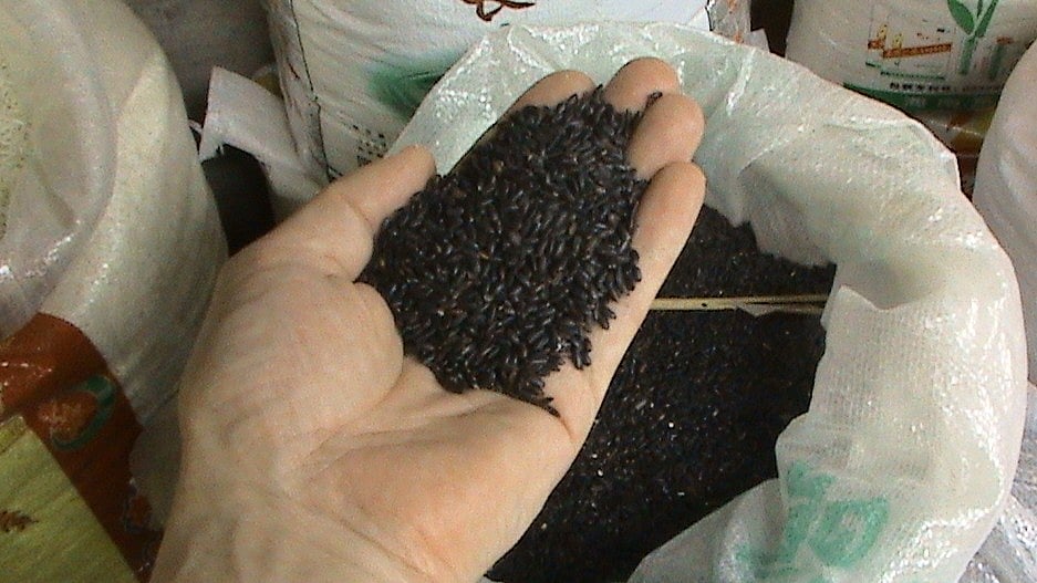 ಒಡಿಶಾ | ಕಾಲಾ ಜೀರಾ ಅಕ್ಕಿಗೆ ಭೌಗೋಳಿಕ ಮಾನ್ಯತೆ; ಆಕ್ಷೇಪ