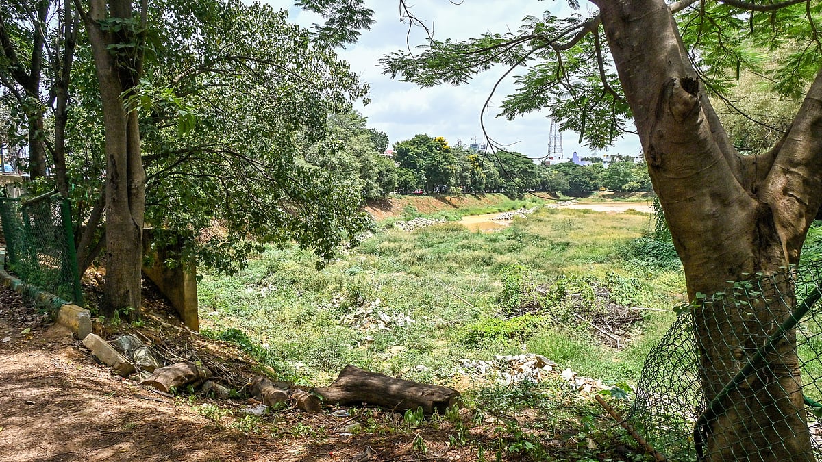 ಸಿಎಂ ಸಿದ್ದರಾಮಯ್ಯ ಕ್ಷೇತ್ರದಲ್ಲಿ 20 ಎಕರೆ ಭೂ ಒತ್ತುವರಿ ತೆರವು