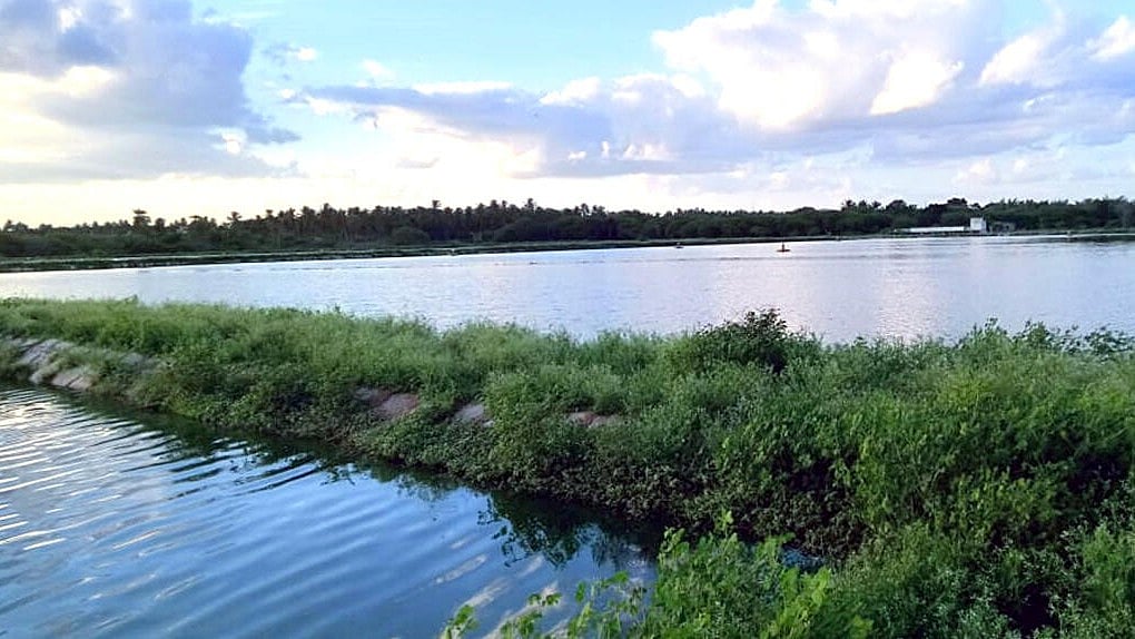 ದೊಡ್ಡಬಳ್ಳಾಪುರ | ನರಕ ಸೃಷ್ಟಿಸದಿರಲಿ ವ್ಯಾಲಿ...