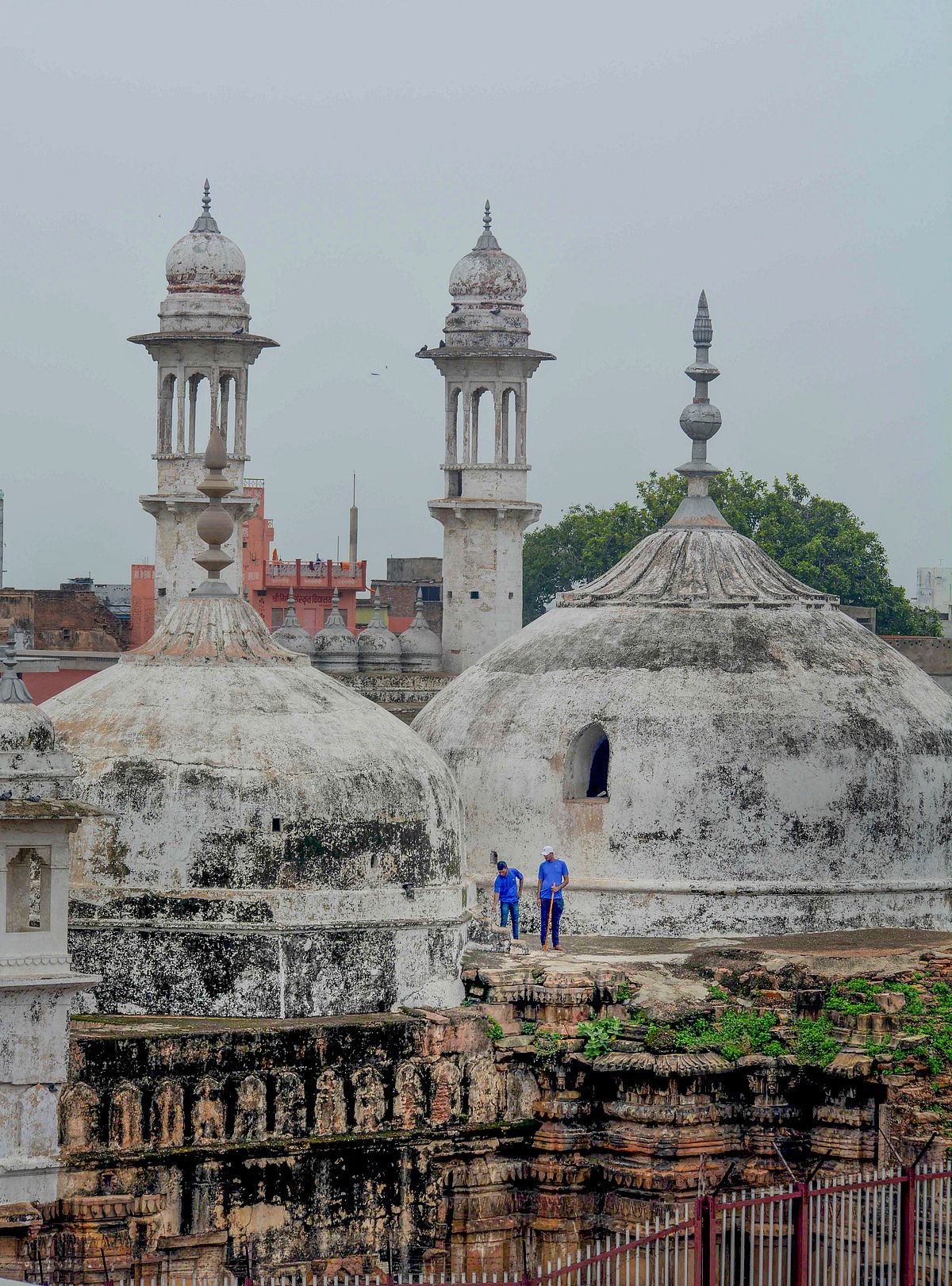 ಜ್ಞಾನವಾಪಿ ಸಮೀಕ್ಷೆ ಅವಧಿ ವಿಸ್ತರಣೆ ಮಸೀದಿ ಸಮಿತಿಯಿಂದ ಆಕ್ಷೇಪಣೆ ಸಲ್ಲಿಕೆ