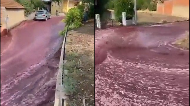 ರಸ್ತೆ ಮೇಲೆ ಹರಿದ 20 ಲಕ್ಷ ಲೀಟರ್‌ ವೈನ್‌!