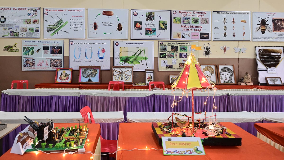 ಧಾರವಾಡ | ಕೃಷಿ ಮೇಳ: ಕೀಟಗಳಿಂದ ತಯಾರಿಸಿದ ಭಕ್ಷ್ಯ ಪ್ರದರ್ಶನ