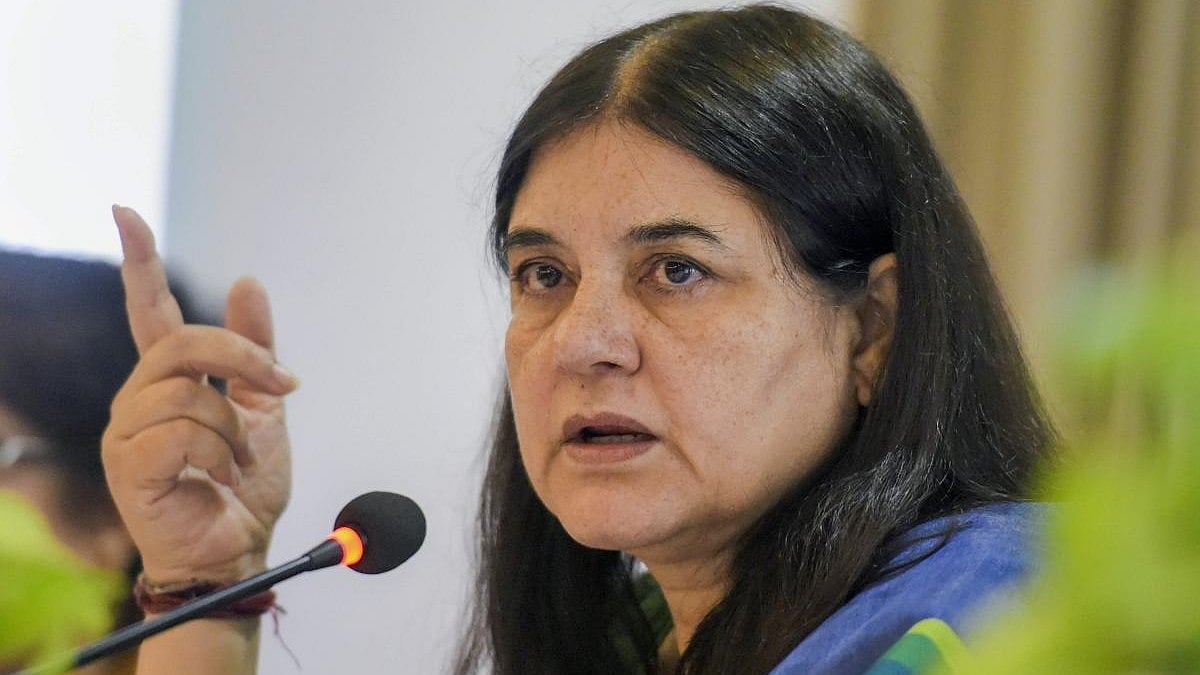 ಹಸುಗಳನ್ನು ಕಸಾಯಿಖಾನೆಗೆ ಮಾರುತ್ತಿರುವ ಇಸ್ಕಾನ್: ಮನೇಕಾ ಆರೋಪ ಅಲ್ಲಗಳೆದ ವಕ್ತಾರ