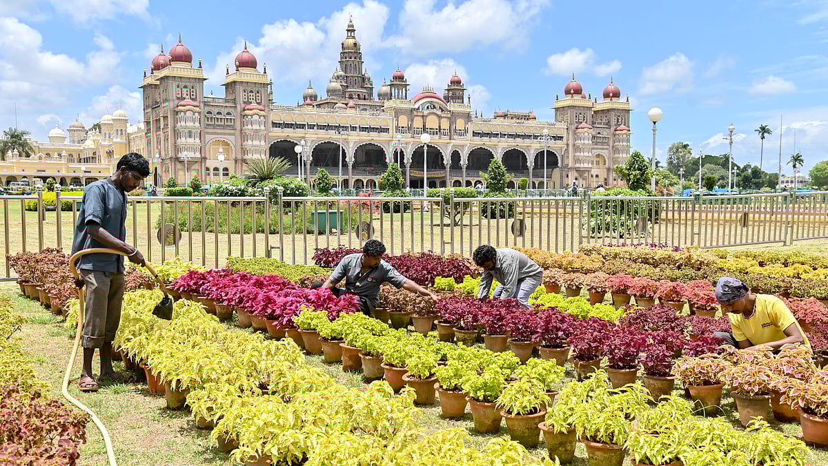 ಮೈಸೂರು ಅರಮನೆ ಅಂಗಳದಲ್ಲಿ ದಸರಾ ಆಚರಣೆಗೆ ಸಿದ್ಧತೆ!
