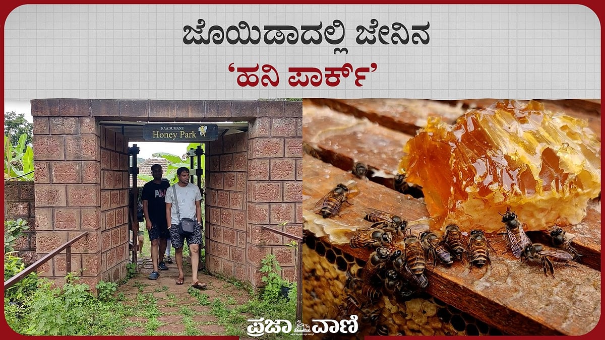 ಜೊಯಿಡಾದಲ್ಲಿ ಜೇನಿನ ‘ಹನಿ ಪಾರ್ಕ್’ 