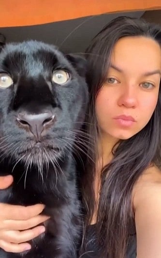 ಬೆಕ್ಕಿನ ಮರಿ ಎಂದು ಮನೆಗೆ ತೆಗೆದುಕೊಂಡು ಹೋದಾಗ ಗೊತ್ತಾಗಿದ್ದು ಕರಿಚಿರತೆ ಮರಿ!