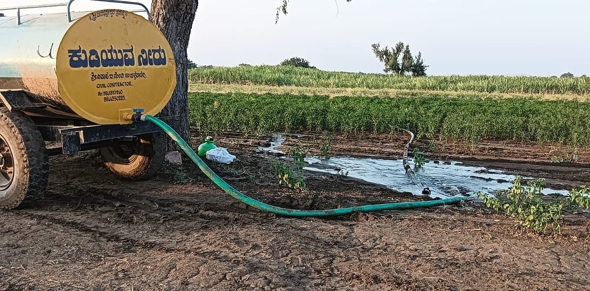 ತೇವಾಂಶದ ಕೊರತೆಯಿಂದ ಬಾಡಿದ ಬೆಳೆಗಳು: ಟ್ಯಾಂಕರ್‌ ನೀರಿನ ಮೊರೆ ಹೋದ ರೈತ