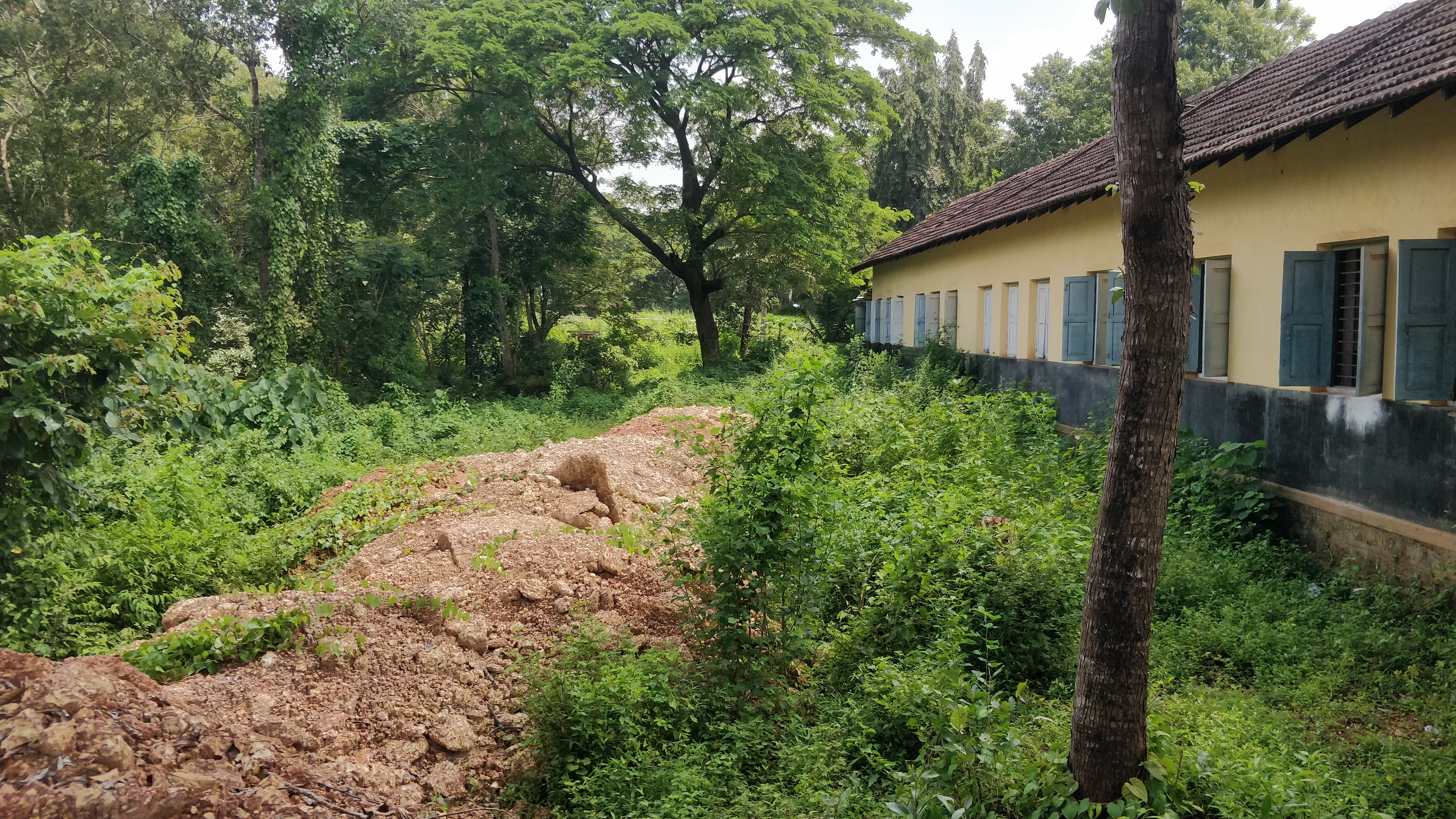 ಶಾಲೆ ಹಿಂಭಾಗದ ಖಾಲಿ ಜಾಗ