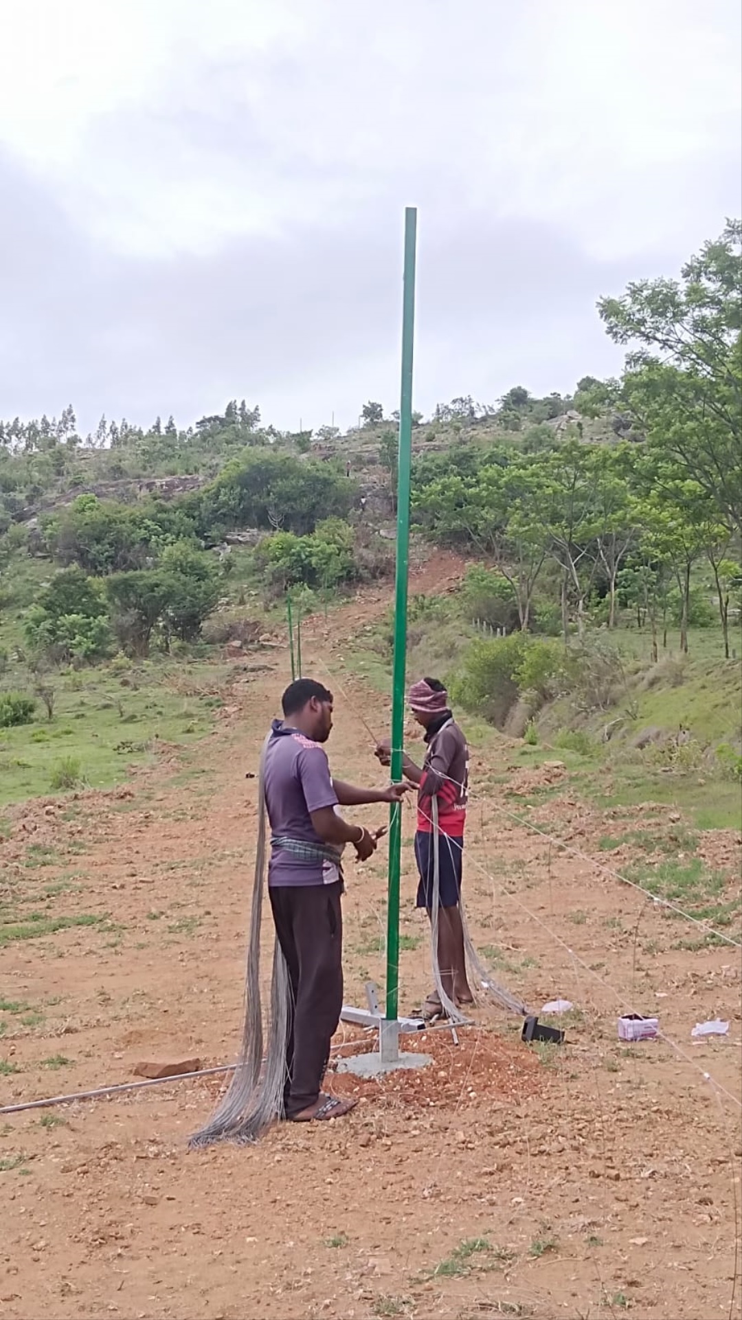 ಸೌರಬೇಲಿ ನಿರ್ಮಾಣದಲ್ಲಿ ತೊಡಗಿರುವ ಸಿಬ್ಬಂದಿ