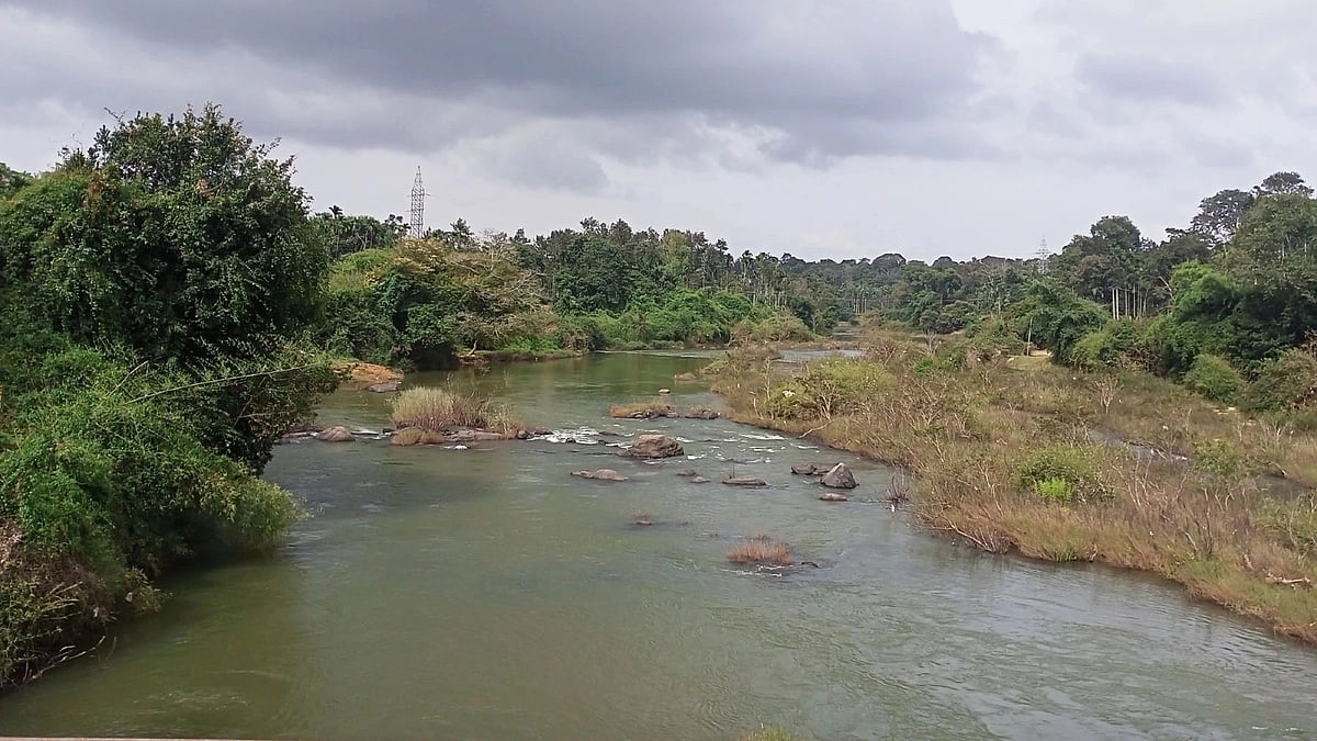 ಕಾವೇರಿ: ತಮಿಳುನಾಡಿಗೆ ನಿತ್ಯ 2,600 ಕ್ಯೂಸೆಕ್‌ ನೀರು ಹರಿಸುವಂತೆ ಶಿಫಾರಸು