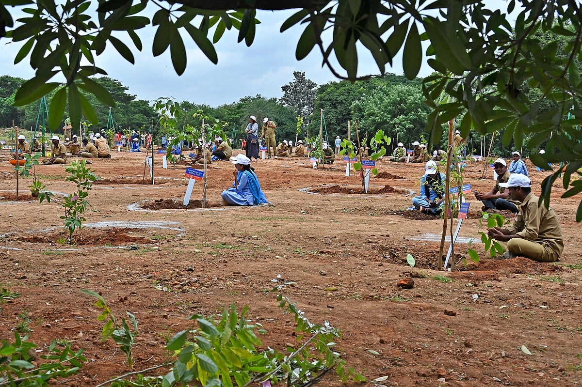ಲಾಲ್‌ಬಾಗ್‌ನಲ್ಲಿ ‘ಮಿನಿ ಪಶ್ಚಿಮಘಟ್ಟ’ ! 