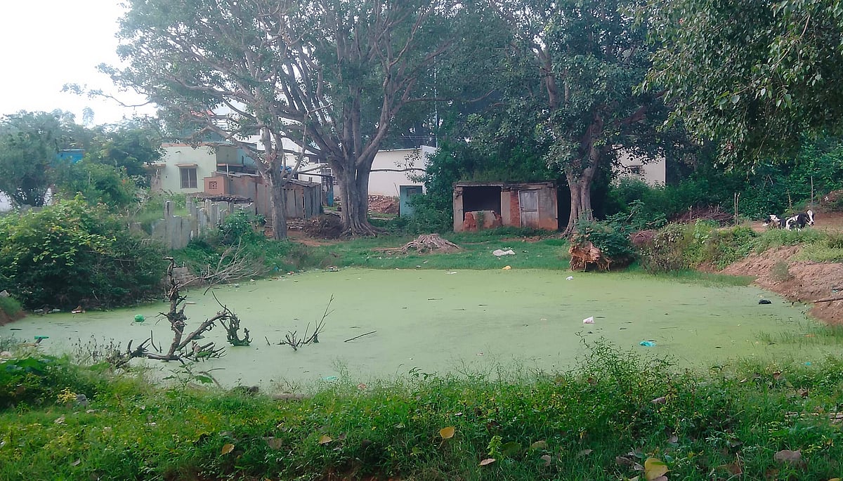 ಸೌಲಭ್ಯ ವಂಚಿತ ಪನಸಮಾಕನಹಳ್ಳಿ
