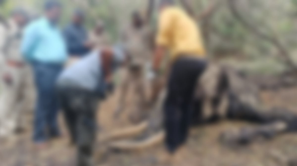 ಕೇರಳ: ವನ್ಯಜೀವಿ ಸಂರಕ್ಷಣಾ ಕಾನೂನು ತಿದ್ದುಪಡಿಗೆ ಆಗ್ರಹಿಸಿ ನಿರ್ಣಯ ಅಂಗೀಕಾರ 