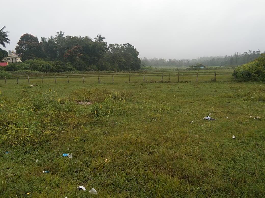 ಚಿಕ್ಕಮಗಳೂರು: 15 ವರ್ಷಗಳಲ್ಲಿ 30 ಸಾವಿರ ಹೆಕ್ಟೇರ್‌ ಭತ್ತದ ಕ್ಷೇತ್ರ ಕಣ್ಮರೆ