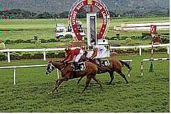 ಮೈಸೂರು ರೇಸ್: ಶ್ಯಾಮ್‍ರಾಕ್ ಗೆಲ್ಲುವ ನಿರೀಕ್ಷೆ