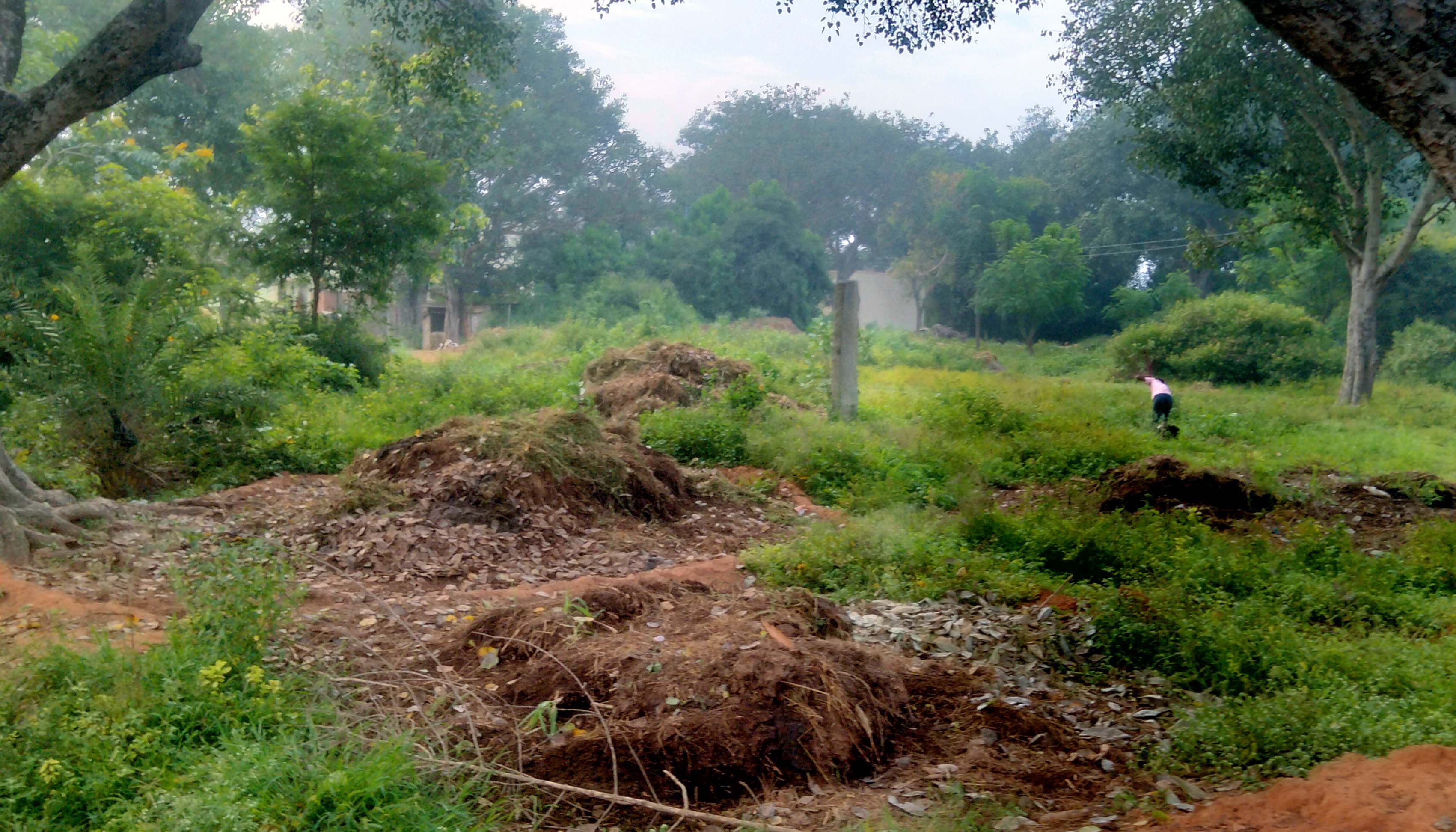 ಕಸದ ರಾಶಿ