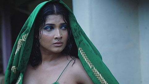 ಏರ್‌ ಇಂಡಿಯಾ ವಿಮಾನದಲ್ಲಿ ಮಲಯಾಳಂ ನಟಿಗೆ ಕಿರುಕುಳ: ದೂರು