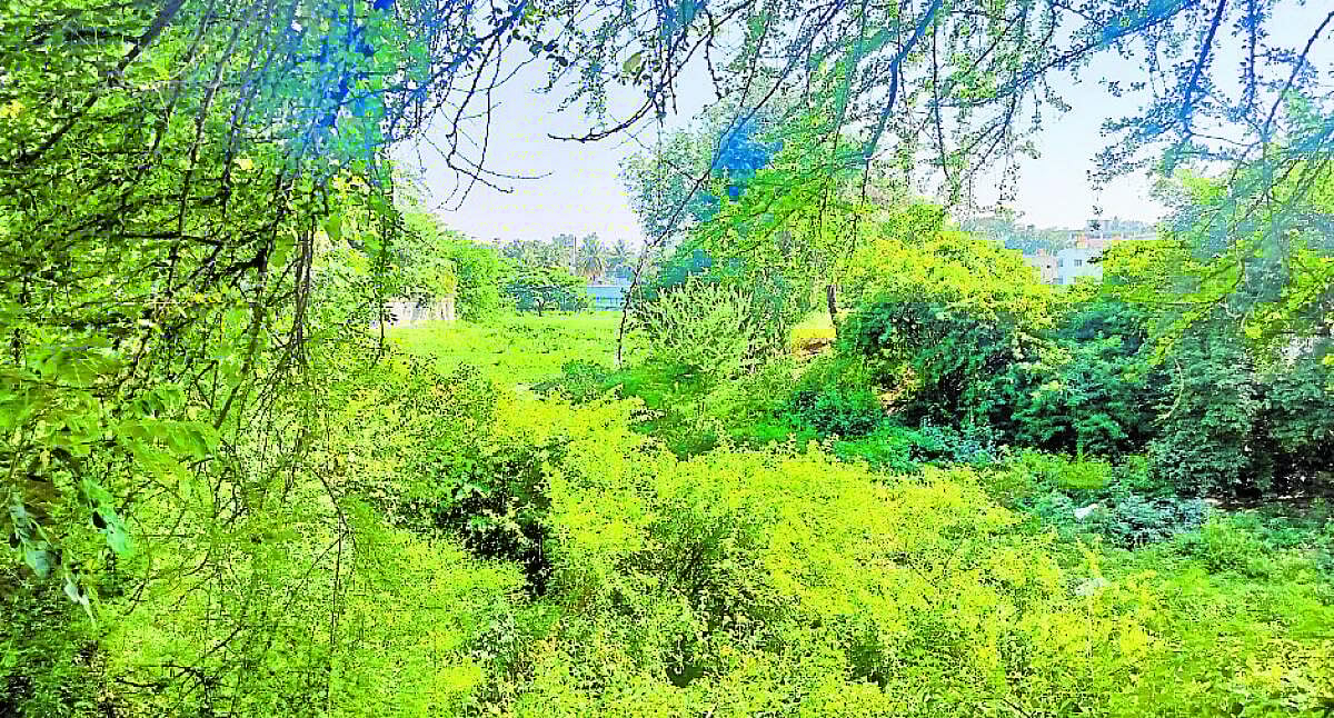 ಬೆಂಗಳೂರು: 174 ಕೆರೆ ನಿರ್ವಹಣೆಗೆ ₹ 35 ಕೋಟಿ