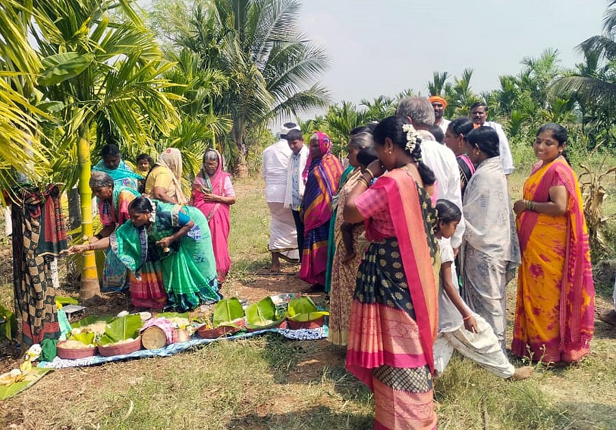 ಮಲೇಬೆನ್ನೂರಿನಲ್ಲಿ ಸಂಭ್ರಮದ ಭೂಮಿ ಹುಣ್ಣಿಮೆ