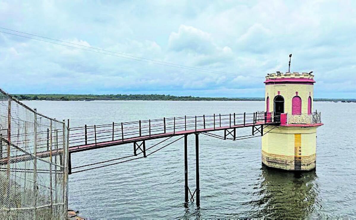  ಹೆಸರಘಟ್ಟ ಜಲಾಶಯದಲ್ಲಿ ಕಡಿಮೆಯಾದ ನೀರು ಸಂಗ್ರಹ: ಒಣಗುತ್ತಿರುವ ಬೆಳೆಗಳು