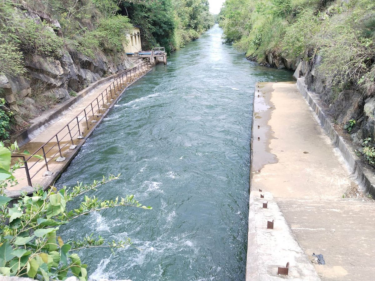 ಚನ್ನಗಿರಿ | ಭದ್ರಾ ನಾಲೆಯ ಎರಡೂ ಬದಿಯಲ್ಲಿ ಬೆಳೆದು ನಿಂತ ಗಿಡಗಂಟೆಗಳು