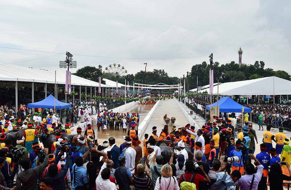 Namma Kambala: ಬೆಂಗಳೂರು ಕಂಬಳಕ್ಕೆ ಹರಿದಬಂದ ಜನಸಾಗರ