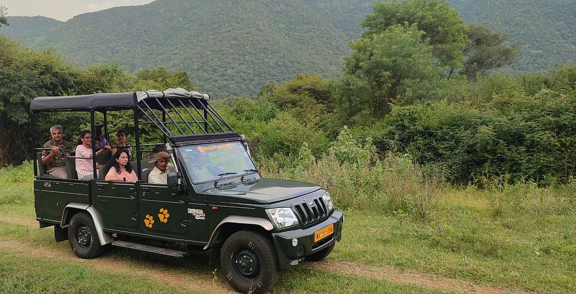 ಮಲೆ ಮಹದೇಶ್ವರ ವನ್ಯಧಾಮದಲ್ಲಿ ಶನಿವಾರ ಬೆಳಿಗ್ಗೆ ಸಫಾರಿ ಆರಂಭ