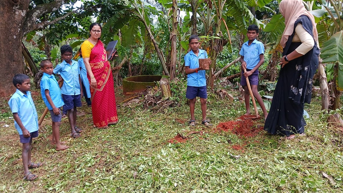 ಮಡಿಕೇರಿ: ಬಾಳೆಯಿಂದ ಬೆಳಗಿತು ಶಾಲೆ