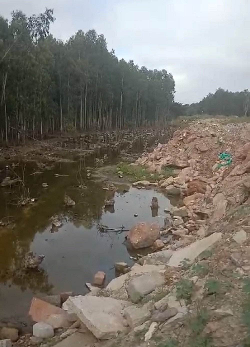 ಬೆಂಗಳೂರು: ಕಲ್ಲು–ಮಣ್ಣು, ತ್ಯಾಜ್ಯ ತುಂಬಿ ಕೆರೆ ಕಬಳಿಕೆ!