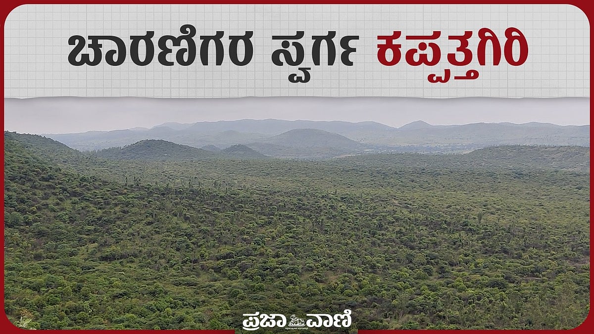 VIDEO: ಚಾರಣಿಗರ ಸ್ವರ್ಗ ಕಪ್ಪತ್ತಗಿರಿ