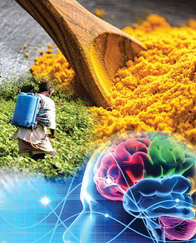 ಸಂಗತ: ಶೀರ್ಷಿಕೆ ನೋಡಿ ಮರುಳಾಗದಿರಿ