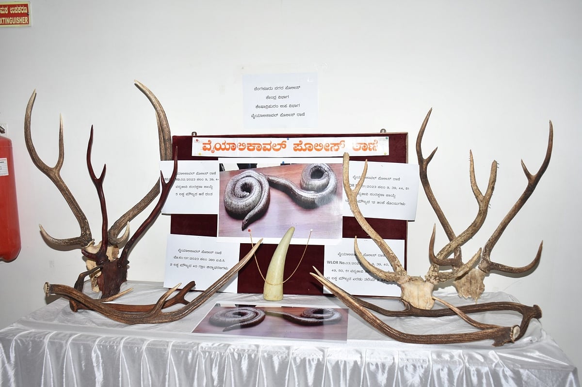 ಬೆಂಗಳೂರಲ್ಲಿ ವನ್ಯಜೀವಿ ಉತ್ಪನ್ನ ಮಾರಾಟಕ್ಕೆ ಯತ್ನ: ಐವರು ಬಂಧನ