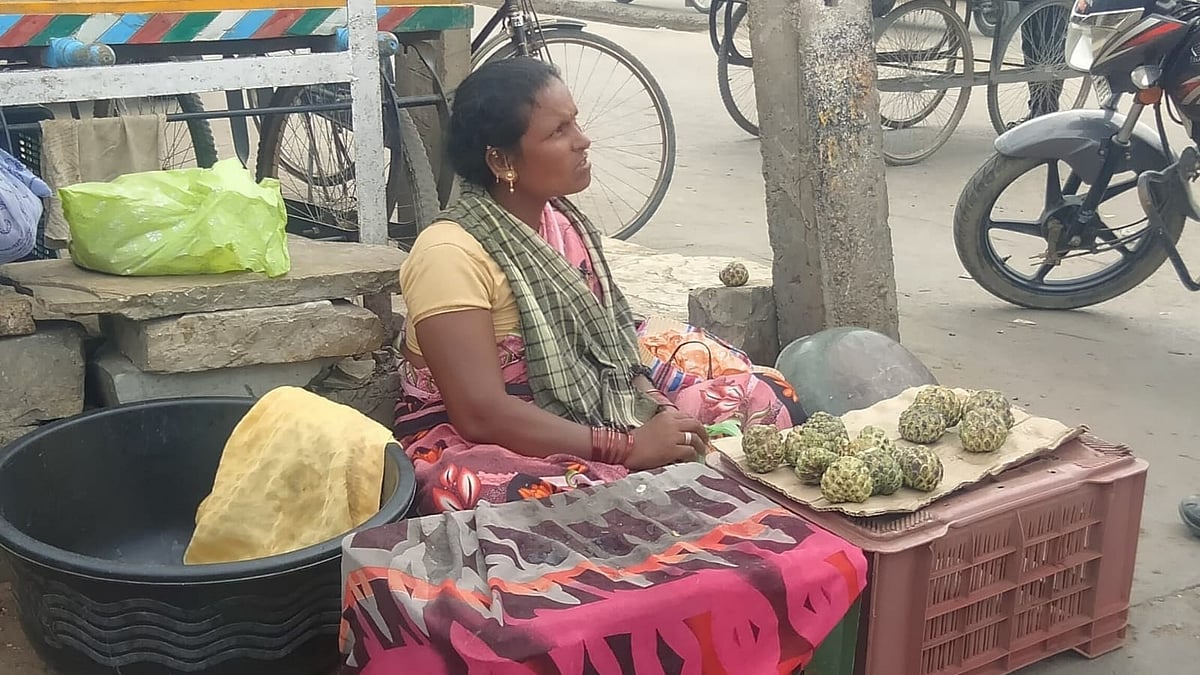 ವಾಡಿ | ಬರ: ಸೀತಾಫಲ ಇಳುವರಿ ಕುಸಿತ