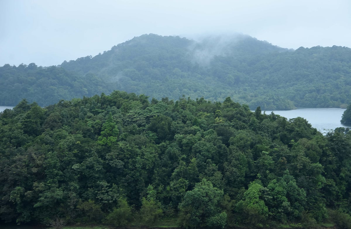 ಪರಿಸರ ಸೂಕ್ಷ್ಮವಲಯ ವ್ಯಾಪ್ತಿ ಮರುನಿಗದಿ; ಹಲವು ಗ್ರಾಮ ಕೈಬಿಡಲು ನಿರ್ಧಾರ