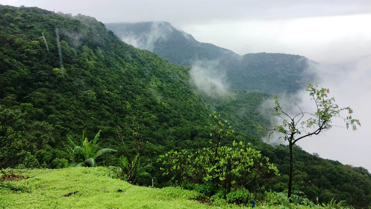 ಅರಣ್ಯ ಭೂಮಿಗೆ ನಕಲಿ ಜಿಪಿಎಸ್ ಸೃಷ್ಟಿಸಿದ ಆರೋಪದಡಿ 13 ಮಂದಿ ವಿರುದ್ಧ ಪ್ರಕರಣ