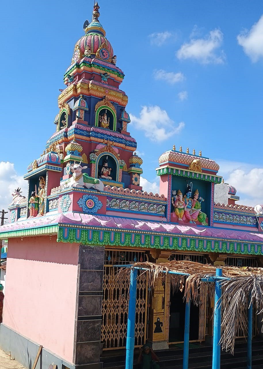 ಕೋಣನತಲೆ | ಬೀಜೋತ್ಪಾದನೆ ಕೃಷಿಯಲ್ಲಿ ಪ್ರಗತಿ ಕಂಡ ಗ್ರಾಮ