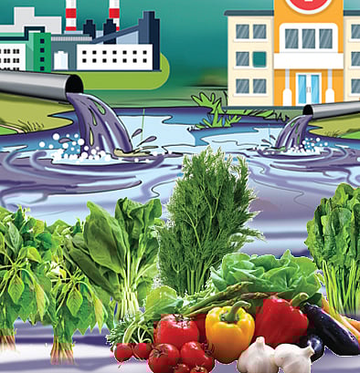 ಸಂಗತ: ‘ಭಾರ’ವಾದ ಸೊಪ್ಪು, ತರಕಾರಿ!