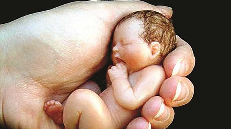 ಬೆಂಗಳೂರು | ಹೆಣ್ಣು ಭ್ರೂಣ ಹತ್ಯೆ: ಹಲವರ ಕೈವಾಡ ಶಂಕೆ