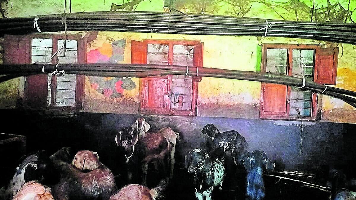 ಒಳನೋಟ: ಶೂನ್ಯ ದಾಖಲೆ ‘ಸಾಧನೆ’, ಸರ್ಕಾರಿ ಶಾಲೆಗೆ ಮಕ್ಕಳು ಬೇಕಾಗಿದ್ದಾರೆ!