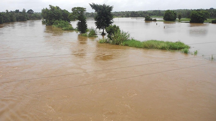ರಾಜ್ಯದ 16 ನದಿಗಳು ಕಲುಷಿತ!