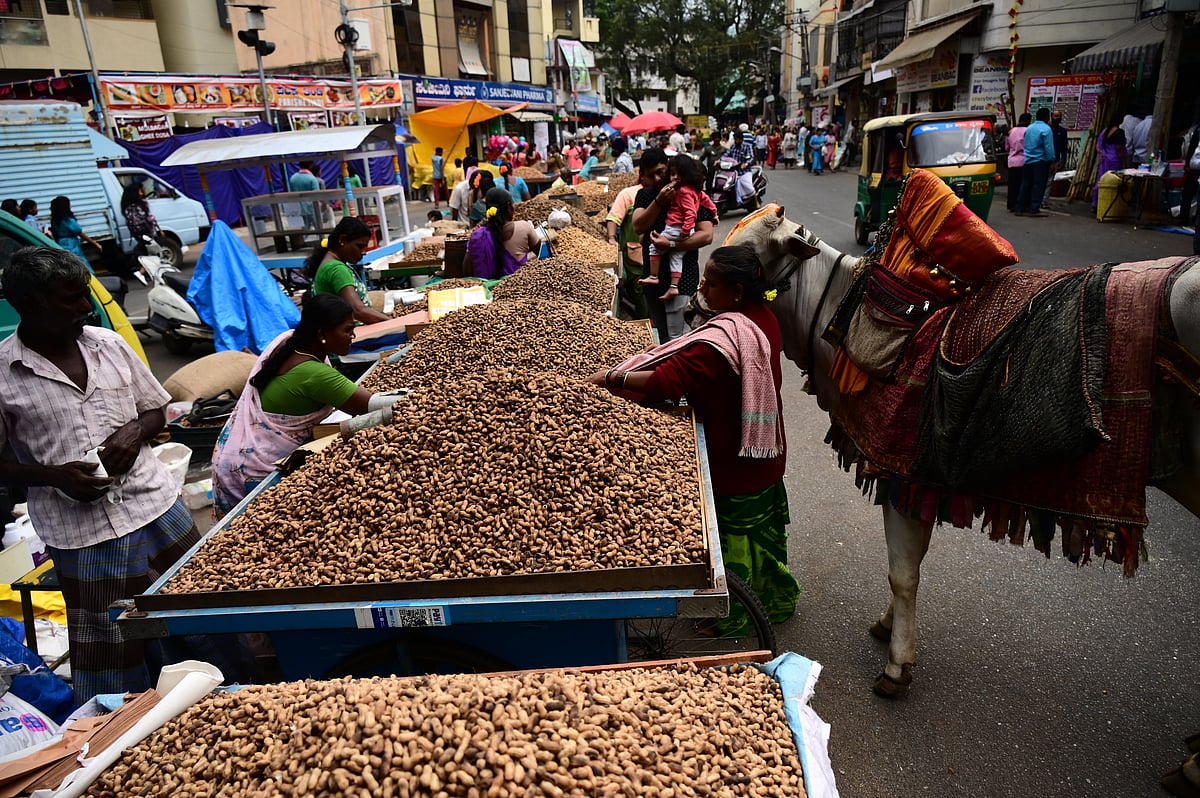 ಕಡಲೆಕಾಯಿ ಪರಿಷೆ: ಸಂಭ್ರಮದ ಜನಜಾತ್ರೆ