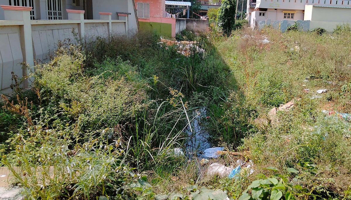 ಶ್ರೀನಿವಾಸಪುರ: ಅನಾರೋಗ್ಯದ ತಾಣವಾದ ರಾಜಕಾಲುವೆ