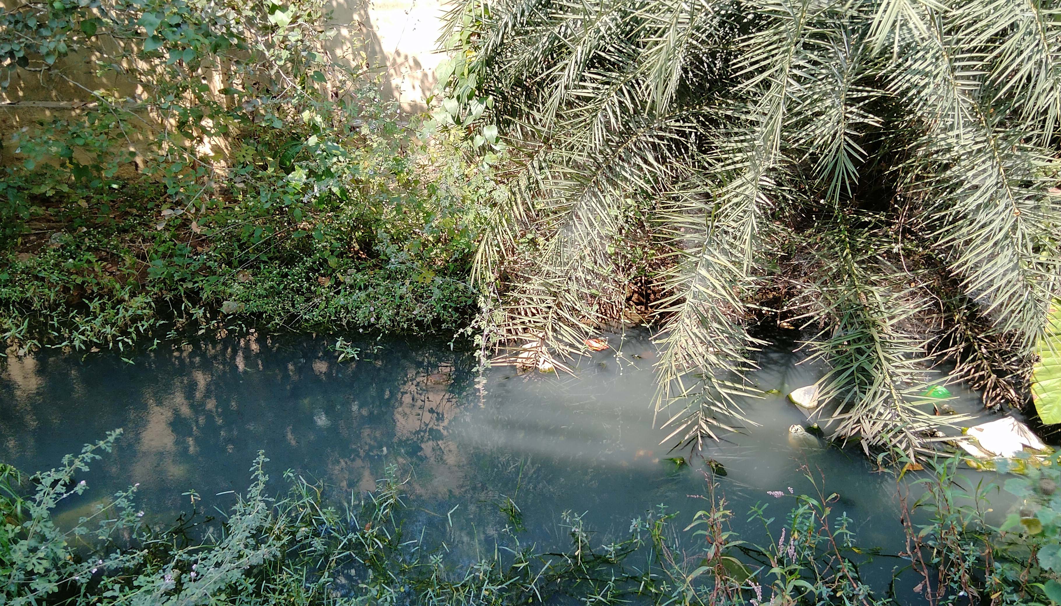 ರಾಜಕಾಲುವೆಯಲ್ಲಿ ಹರಿಯಲಾಗದೆ ನಿಂತಿರುವ ಮಳೆ ನೀರು