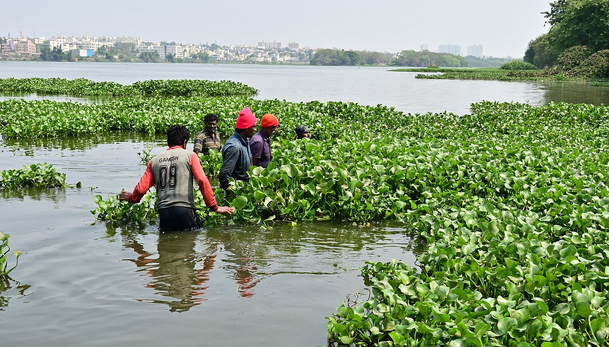 ಬೆಂಗಳೂರು: ಕೆರೆ ಅಭಿವೃದ್ಧಿಗೆ ಷರತ್ತಿನ ಬಿಕ್ಕಟ್ಟು!