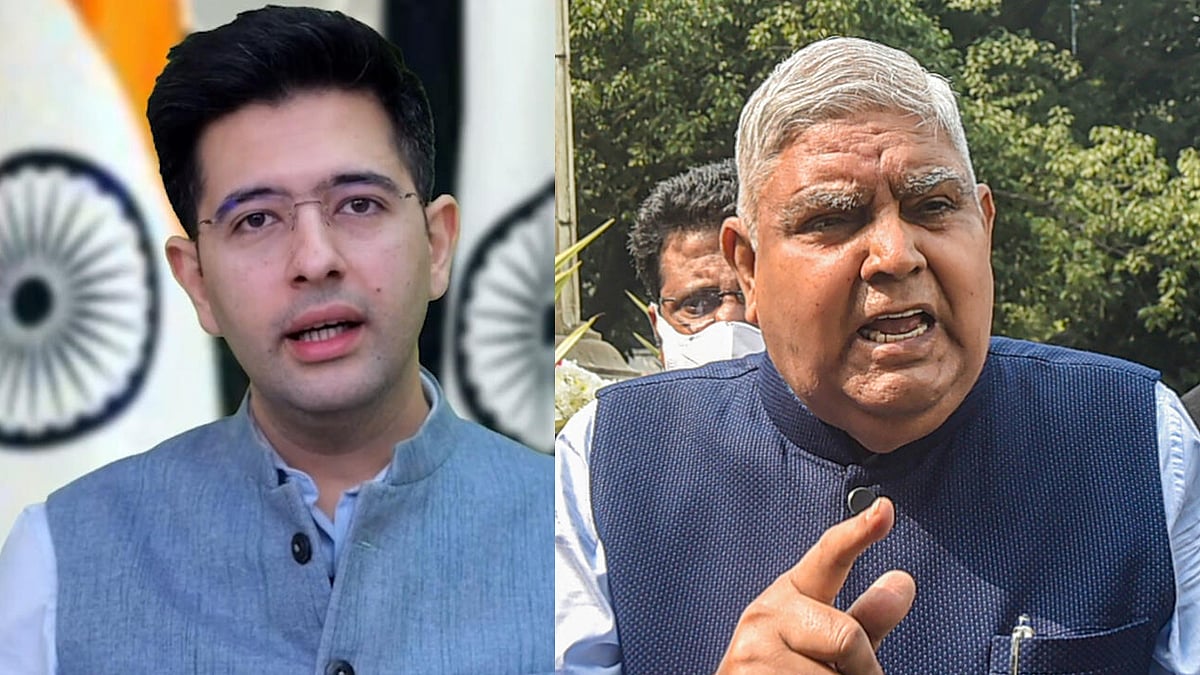 ರಾಜ್ಯಸಭೆ ನಾಯಕನಾಗಿ ರಾಘವ್ ಚಡ್ಡಾ: ಎಎಪಿ ಮನವಿ ತಿರಸ್ಕರಿಸಿದ ಸಭಾಪತಿ