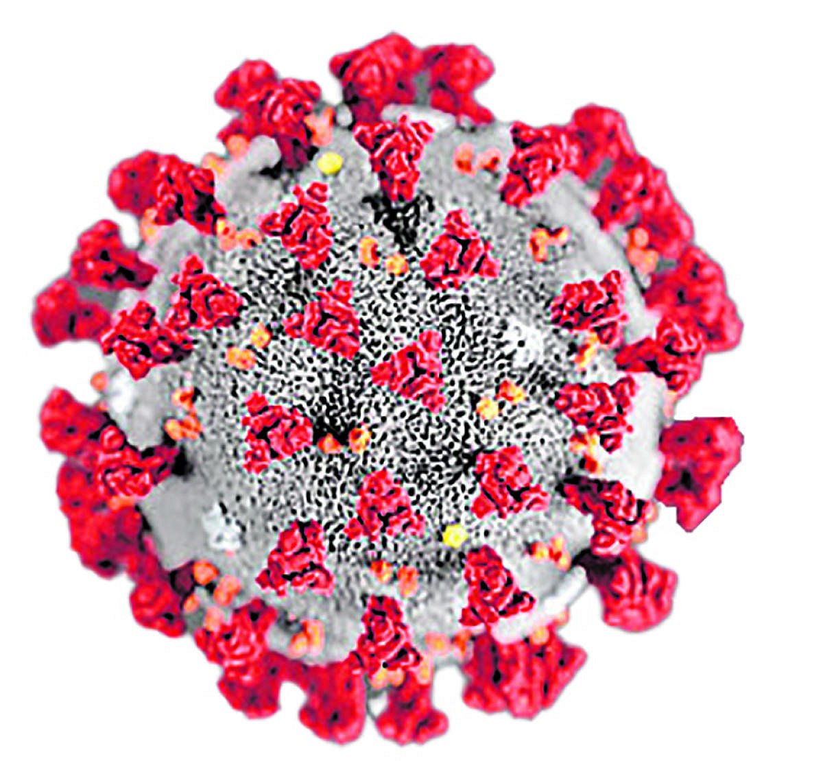 ಹೊಸ ಕೋವಿಡ್ ರೂಪಾಂತರ XFG: ದೇಶದಲ್ಲಿ ಸುಮಾರು 163 ಪ್ರಕರಣಗಳು ಪತ್ತೆ